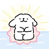 夕夕