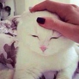 芒果果果果果丶