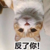 靓丽邪恶