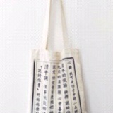 小浣熊君