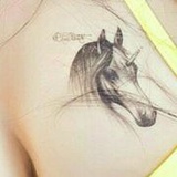 美女赞住