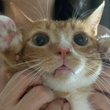 徐小鱼
