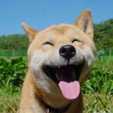 文高扬