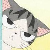 老猫