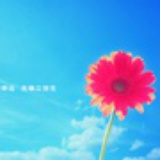 莱茵湖畔的胡子