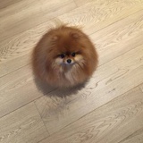 小泥沙