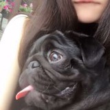 天边一小星