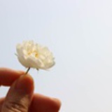 那个谁是谁