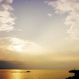 空心菜叔叔