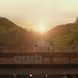 长长长长夏