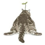 小驼猫