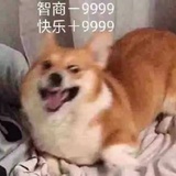 桃李不成蹊