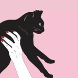 Ms 猫不二