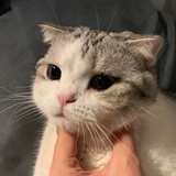 阿笙笙