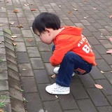 陈二哥[已注销]