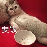 辣椒拌饭