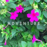 时光悠悠