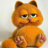 大脸猫 (>^ω^<)
