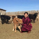娜仁