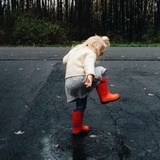 月球外的钉子户