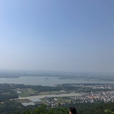 levicher