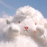 你是猪嘛