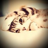 Dorissyy