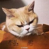 潇潇_暮雨子规啼
