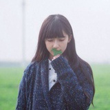 野百合