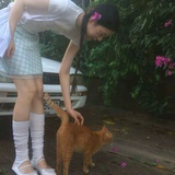 肉桂苹果茶