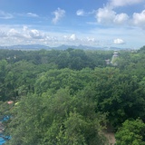 酸奶小辣椒