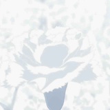 ゆめ￣の汐