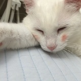 靓妹腿腿9001