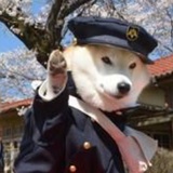 牙