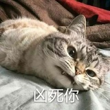 心语