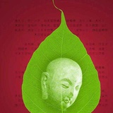 无忌心无际