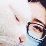 你看起来真的好