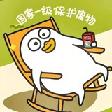 陈皮月亮