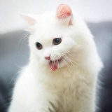 bunnynana?