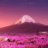 脚尖跃