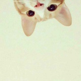 。*.?