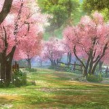 樱极漫漫