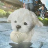 颜卓儿