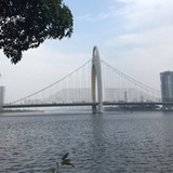 蓝君