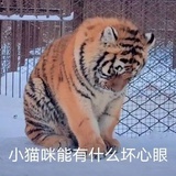 果言