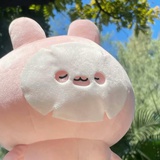 超超超爱拖的柒