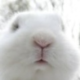 小楼钟声向晚