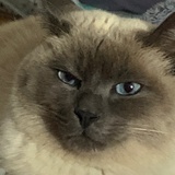 暖眸暖眸