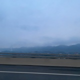 奇楠