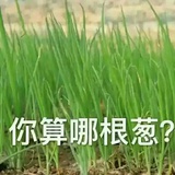 不要无能狂怒